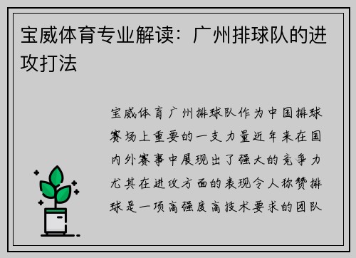 宝威体育专业解读：广州排球队的进攻打法